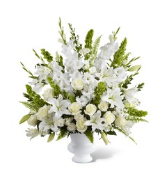 The Morning Stars(tm) Arrangement from Clifford's where roses are our specialty